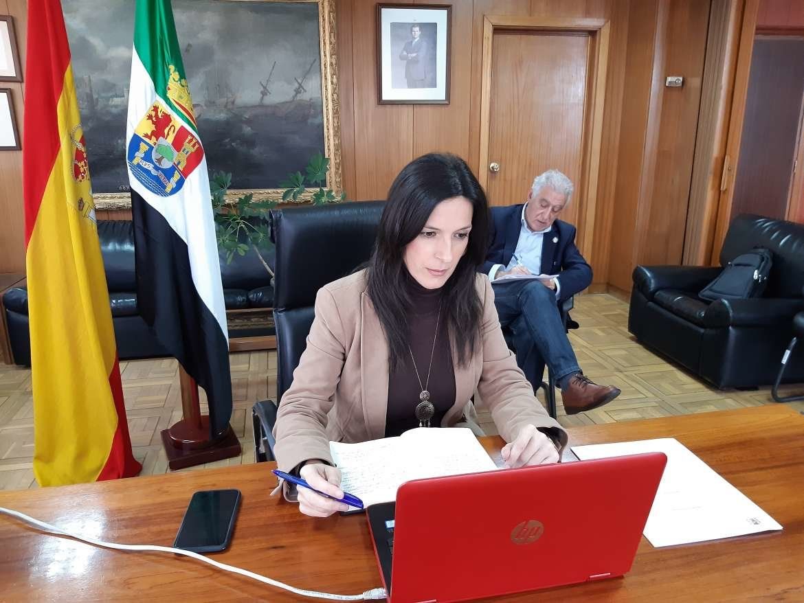 sectorial 1